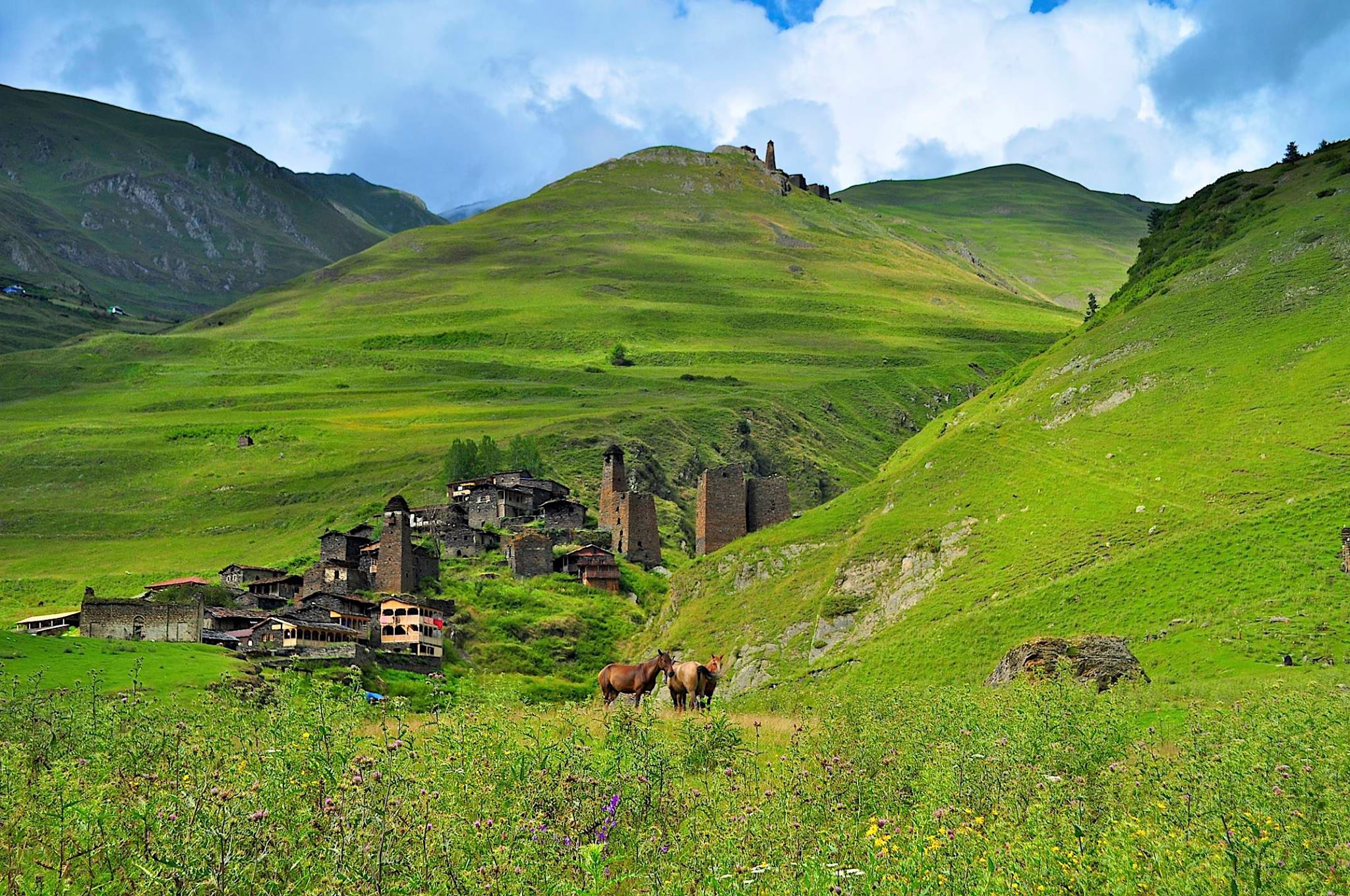 wildlife adventure to Tusheti and Khevsureti