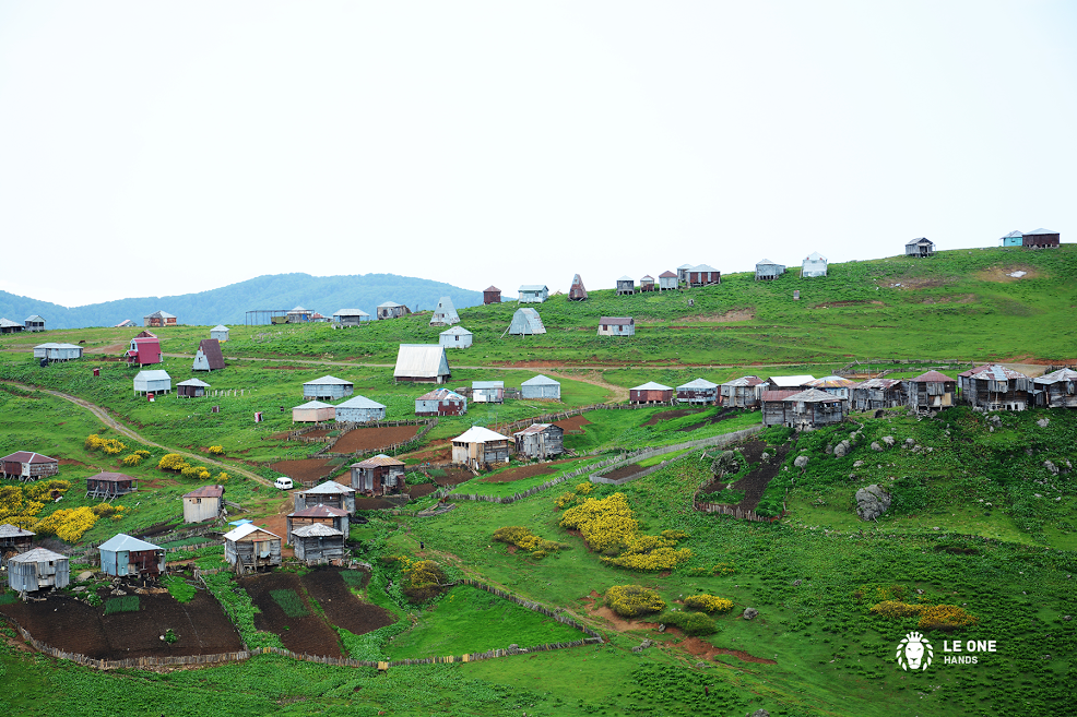 gamajansagebeli (1)