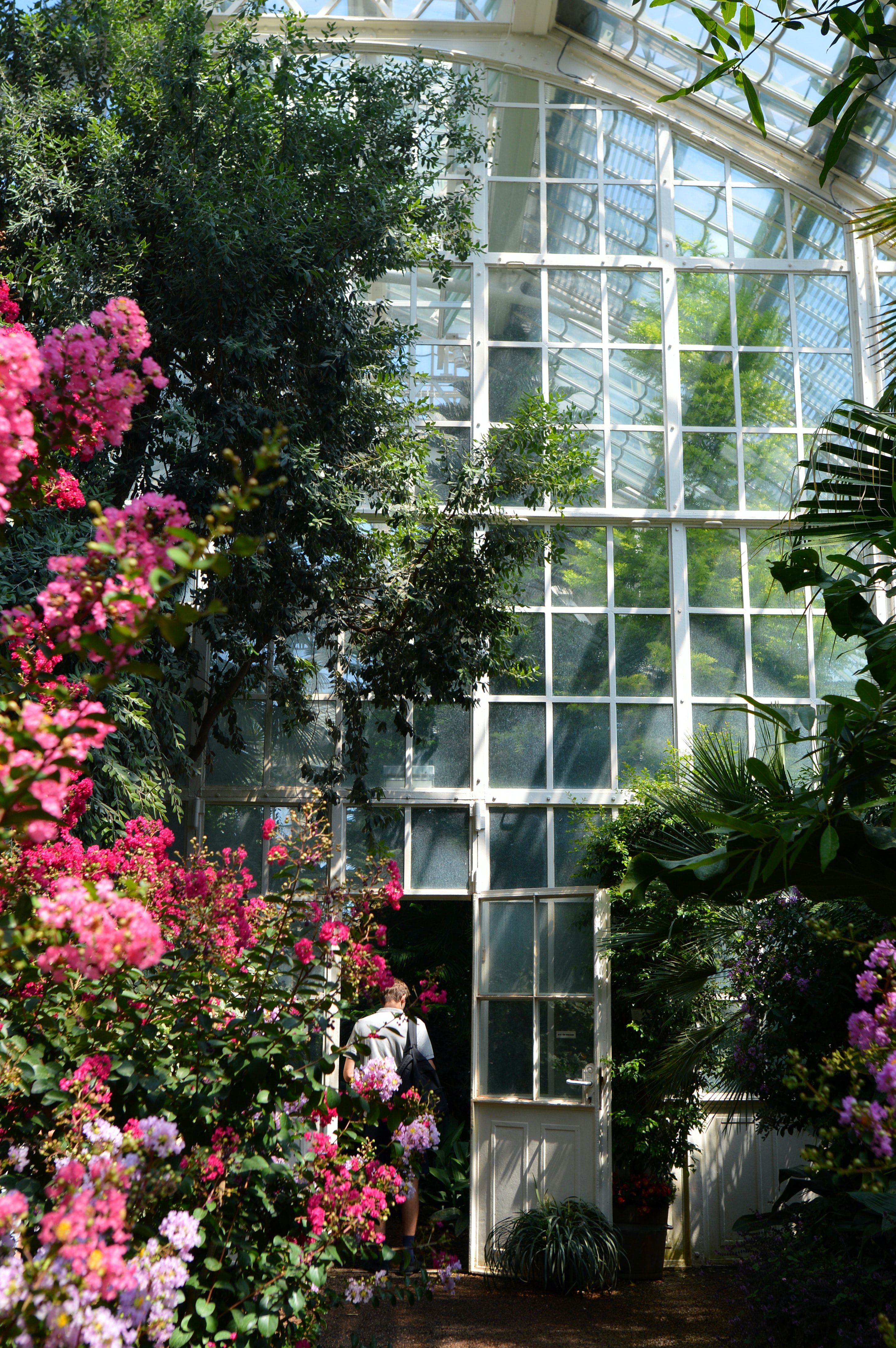 Flower Watching Tour in Georgia