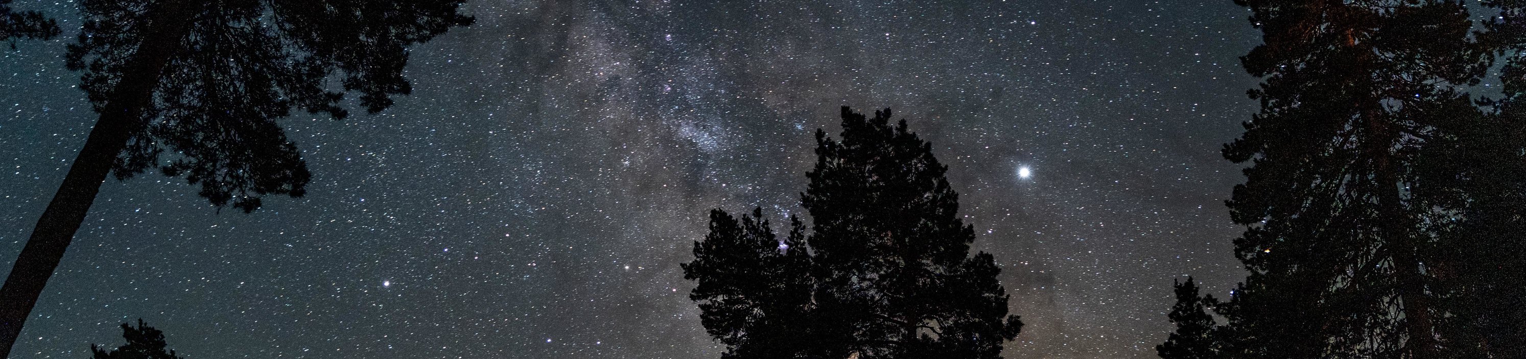 Explore Abastumani, a resort between stars and pines 2