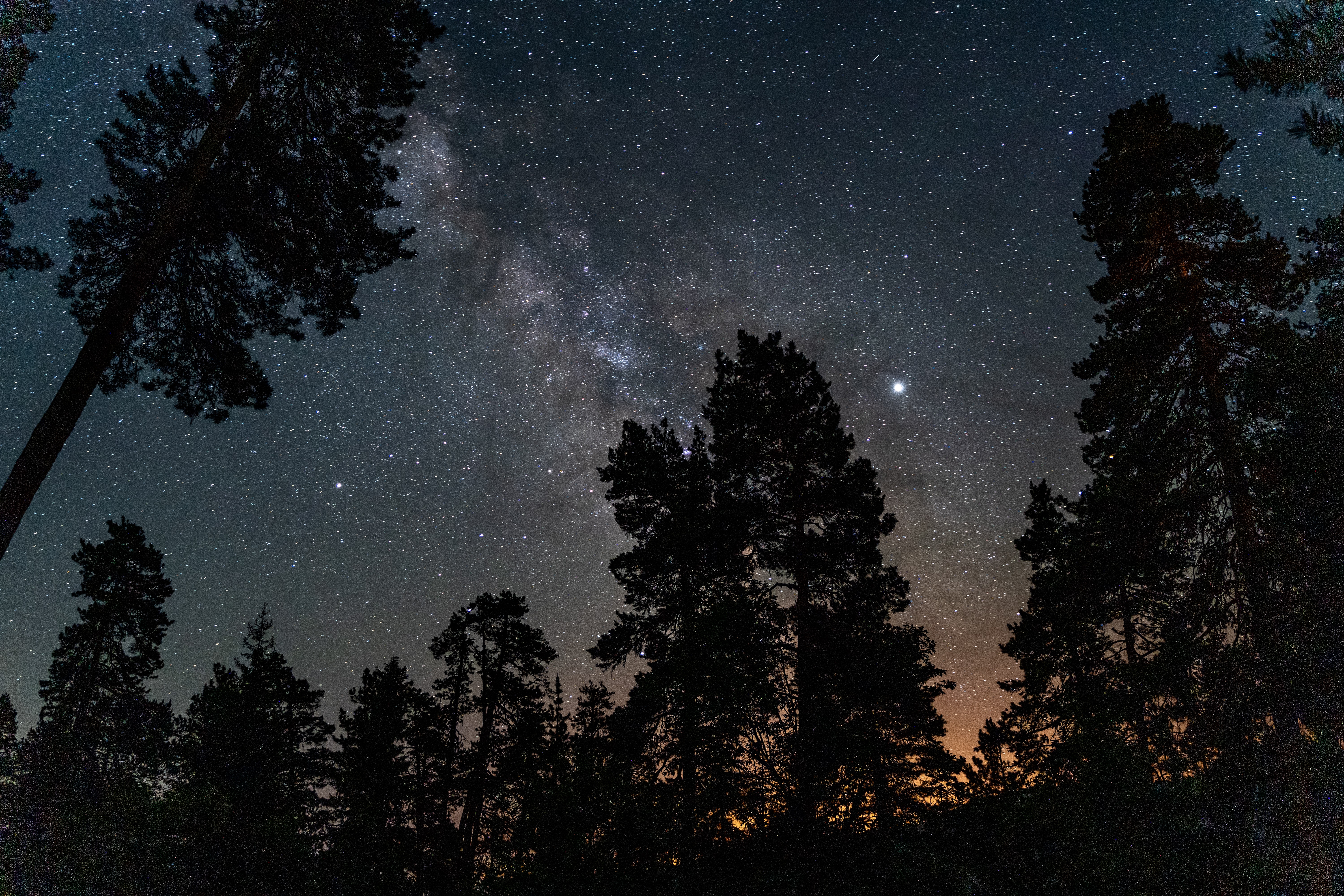 Explore Abastumani, a resort between stars and pines